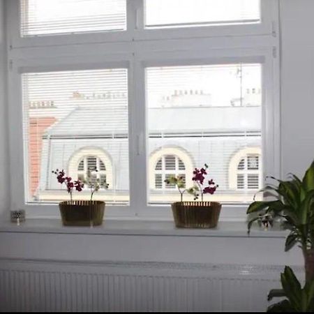 Lenka'S Cozy Red Studio + Lenka'S Cozy Gold Apartment ปราก ภายนอก รูปภาพ