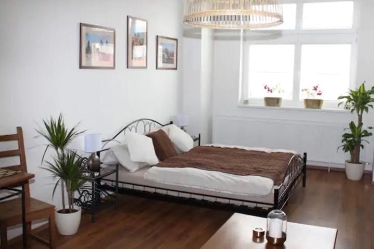 Lenka'S Cozy Red Studio + Lenka'S Cozy Gold Apartment ปราก ภายนอก รูปภาพ