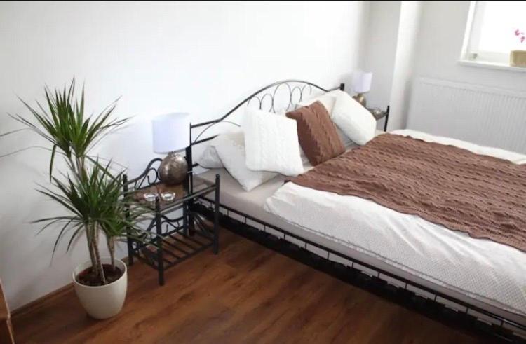 Lenka'S Cozy Red Studio + Lenka'S Cozy Gold Apartment ปราก ภายนอก รูปภาพ