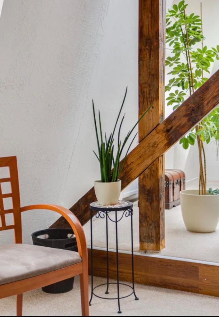 Lenka'S Cozy Red Studio + Lenka'S Cozy Gold Apartment ปราก ภายนอก รูปภาพ